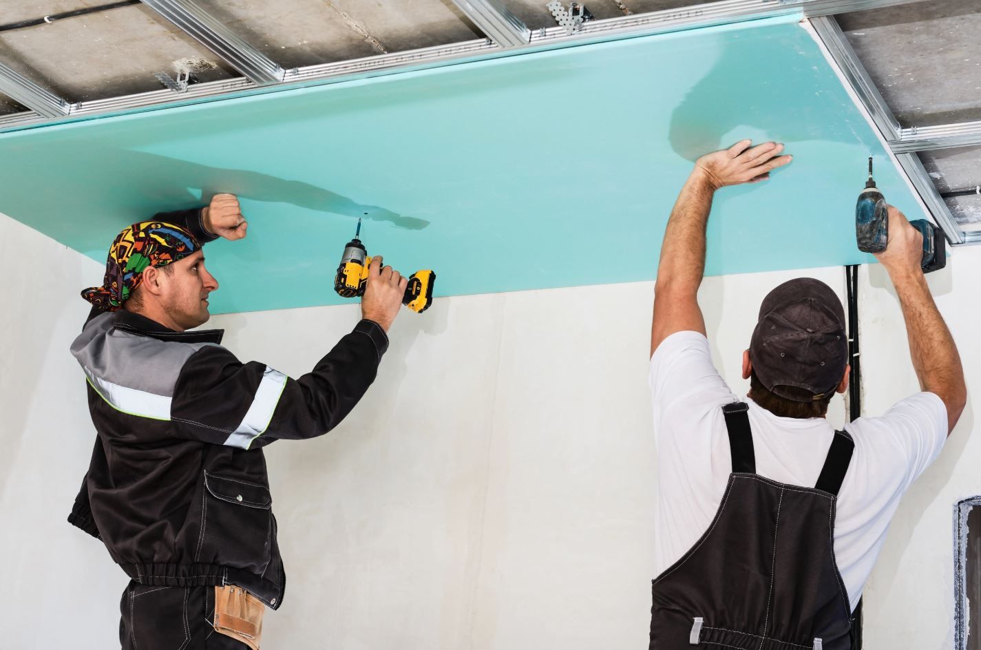 Elevate Your Home with Master Painters in Wellington and Auckland
